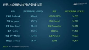 小烏龜學投資系列七 撥開迷霧，慧眼識珠——如何比較與區分海外股權投資機構