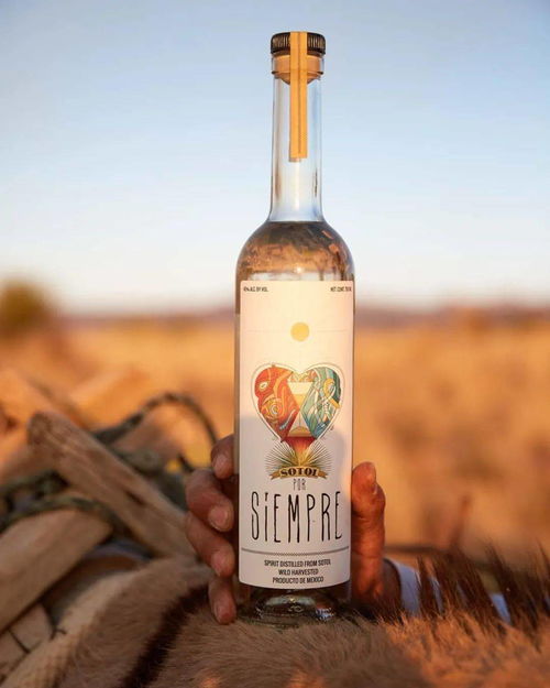 索托酒 墨西哥北部的烈酒之王